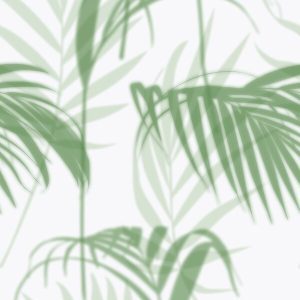 1000009 CUSTOMISE WALLPAPER