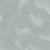 B21214