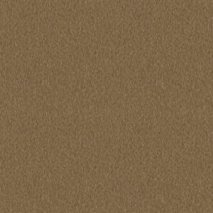 PA01638 PAVONE