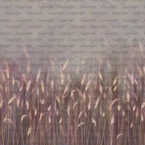 wallpaper SE302-3