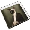 PLEXY TRAY / PT2104
