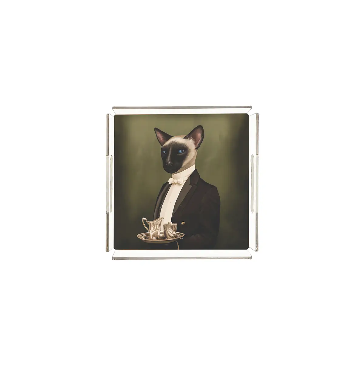 PLEXY TRAY / PT2104 - Image 2