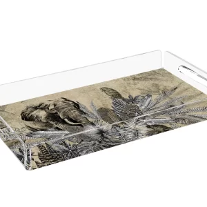 PLEXY TRAY / PT2121