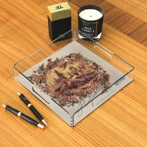 Alternative view of PLEXY TRAY / PT2162