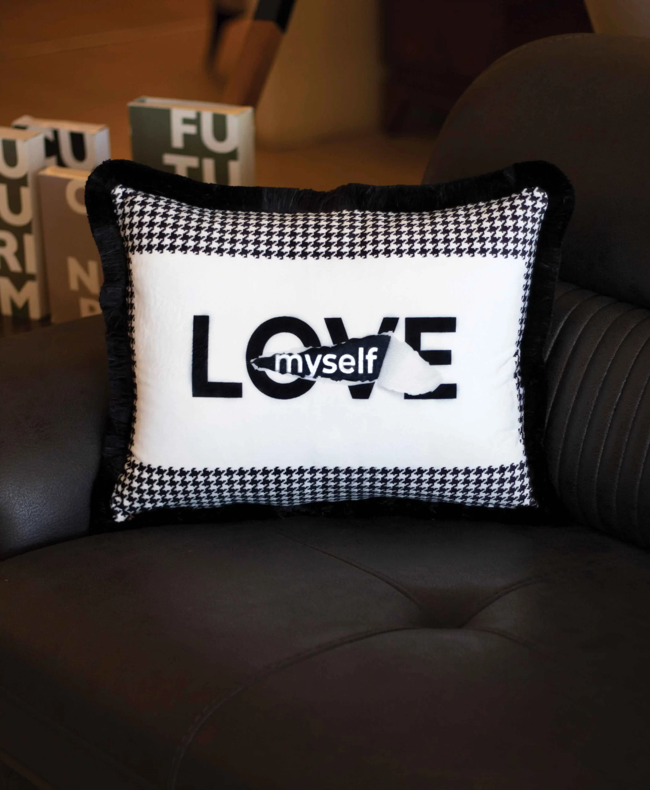 CUSHION / EY279