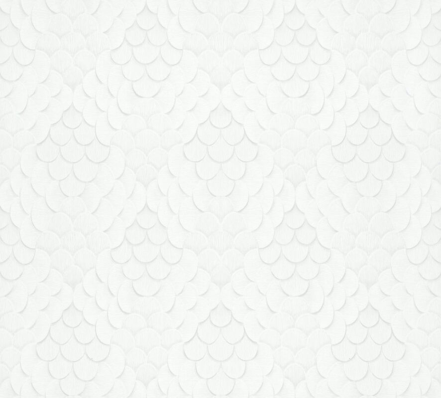 Whiteline Decor shop